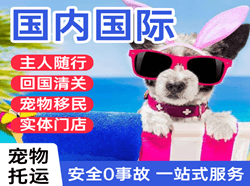 武汉天河机场邮寄国际宠物托运 【国